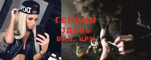 сатива Сясьстрой