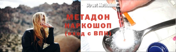 твердый Тайга