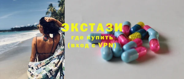 твердый Тайга