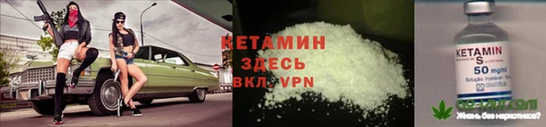 сатива Сясьстрой