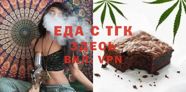 твердый Тайга
