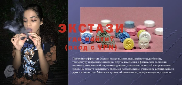 твердый Тайга