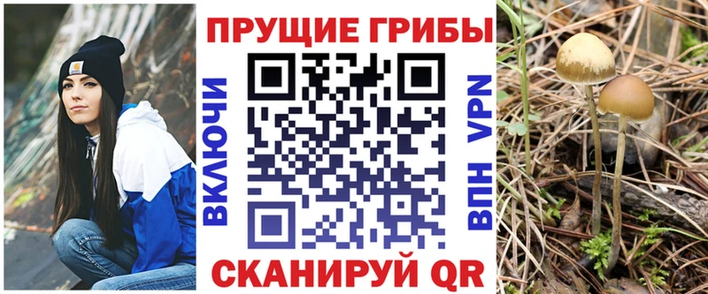 Галлюциногенные грибы MAGIC MUSHROOMS  купить наркотики сайты  Можайск 