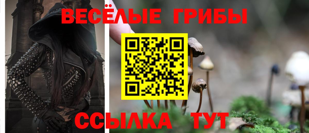 Псилоцибиновые грибы Cubensis Можайск
